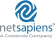 NetSapiens